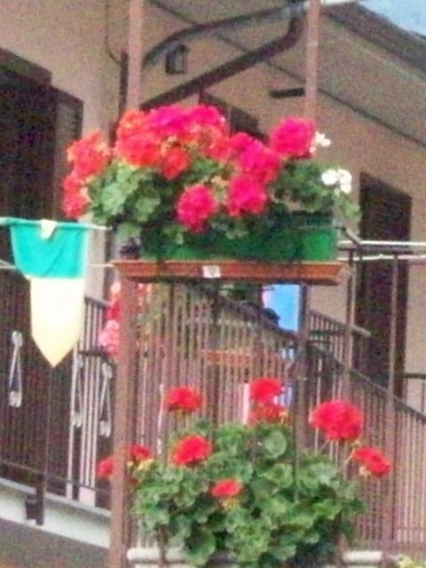 2008-07-29 08-32-49.JPG